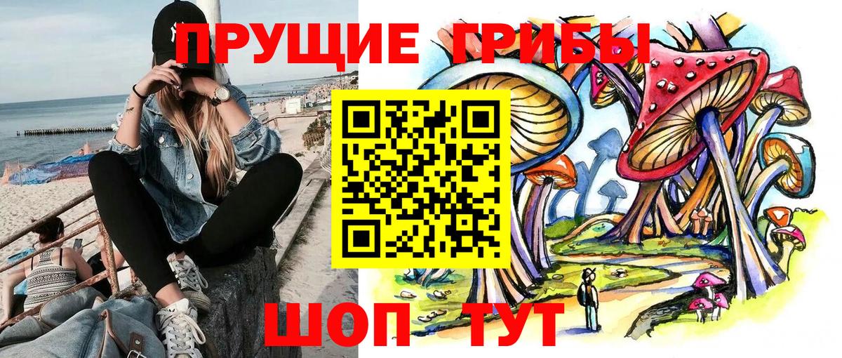 Волжский  Псилоцибиновые грибы Psilocybe  Вход с VPN 
